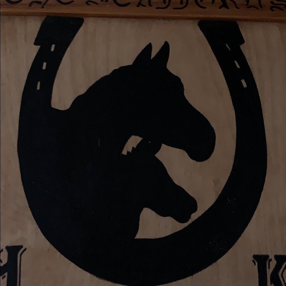 Handcrafted Plywood Art Equestrian Horse Art Ranch, Western ,South western